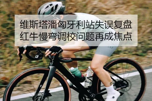 维斯塔潘匈牙利站失误复盘 红牛慢弯调校问题再成焦点